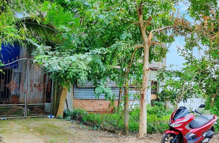 Long Tân, 3863m2 đất đẹp có nhà cấp 4 và nhà yến 1
