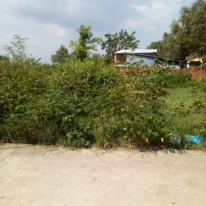 Phú Đông, 97.5m2 đất ONT gần đường Võ Thị Sáu