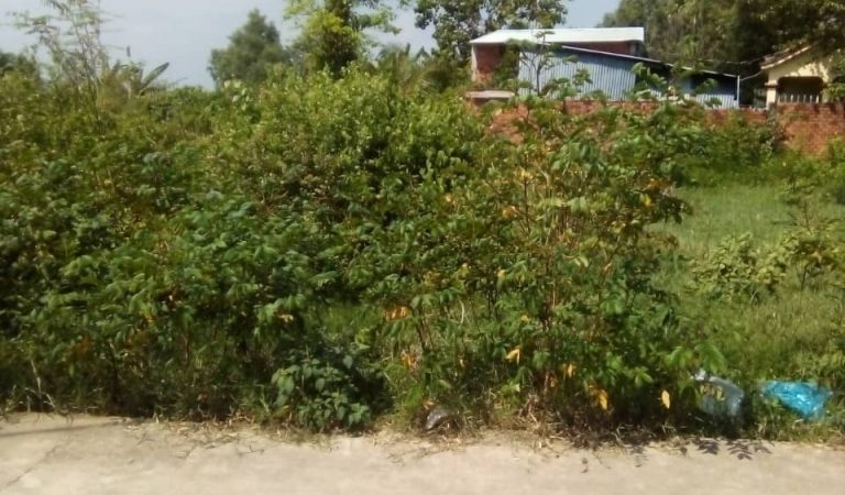 Phú Đông, 97.5m2 đất ONT gần đường Võ Thị Sáu