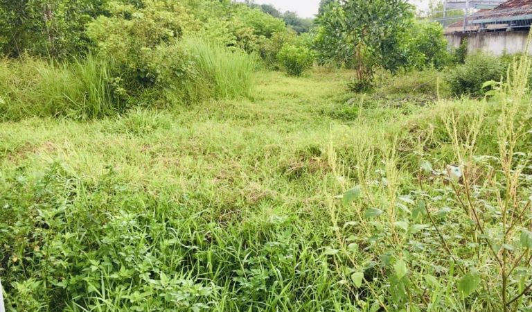 Phú Thạnh, 1.099m2 đất CLN mặt tiền đường Quách Thị Trang (PTHA31/261)