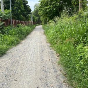 Phú Thạnh, 571m2 đất CLN quy hoạch full ONT 2 mặt tiền đường Vành Đai 3