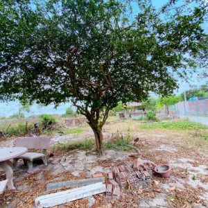 Phú Thạnh, 571m2 đất CLN quy hoạch full ONT 2 mặt tiền đường Vành Đai 3