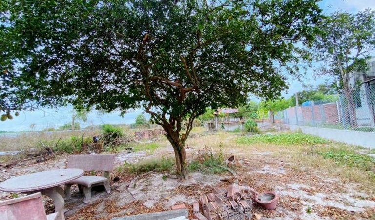 Phú Thạnh, 571m2 đất CLN quy hoạch full ONT 2 mặt tiền đường Vành Đai 3
