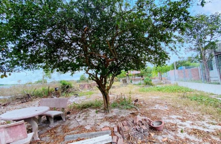 Phú Thạnh, 571m2 đất CLN quy hoạch full ONT 2 mặt tiền đường Vành Đai 3