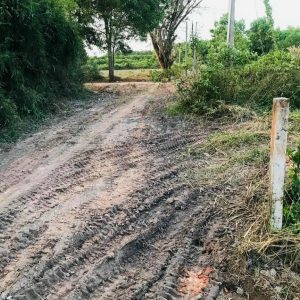 Phước An, 214m2 đất CLN có 65m2 thổ 1