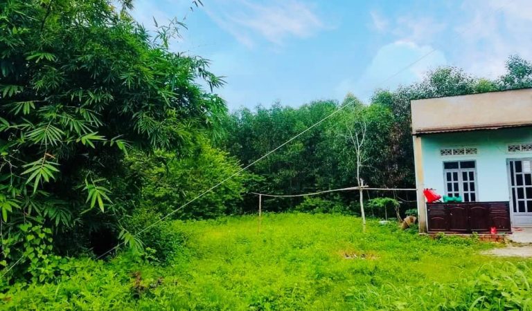 Phước An, 420m2 đất CLN có 50m2 ONT đường Hùng Vương 1/ (PA77/206)