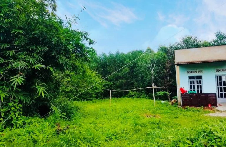 Phước An, 420m2 đất CLN có 50m2 ONT đường Hùng Vương 1/ (PA77/206)
