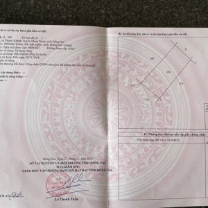 Phước Khánh, 1000m2 đất CLN 1 sẹc đường Phạm Thái Bường giá đầu tư