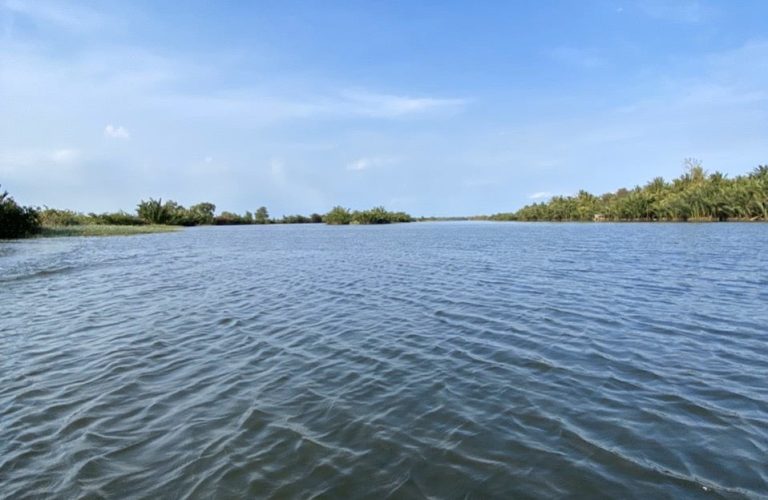 Phước Khánh, 1000m2 đất lúa mặt sông lớn giá cực rẻ