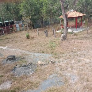 Vĩnh Thanh, 2.727m2 đất CLN QH full ONT đường Hùng Vương 1/ (VT31/79)