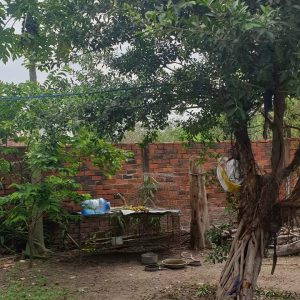 Vĩnh Thanh, 494m2 đất CLN có 75m2 ONT kèm nhà cấp 4 (VT42/109)