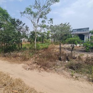 Vĩnh Thanh, 560m2 đất CLN quy hoạch full ONT