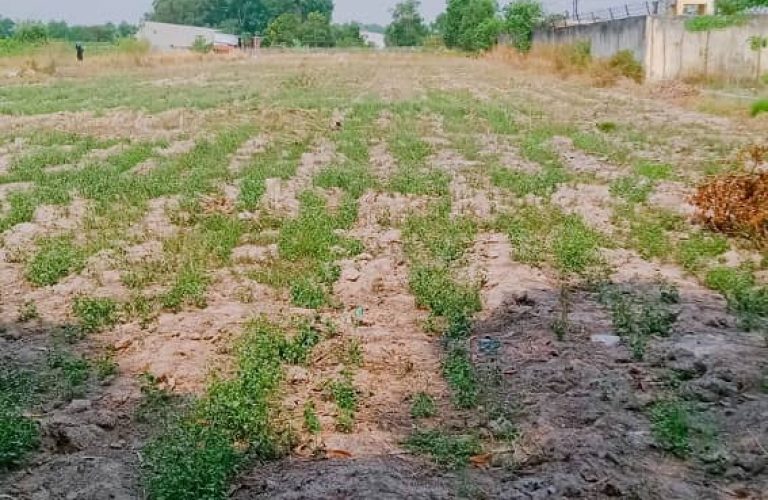 Vĩnh Thanh, 8.260m2 đất CLN có 300m2 ONT đường Hùng Vương 1/ (VT13/109)