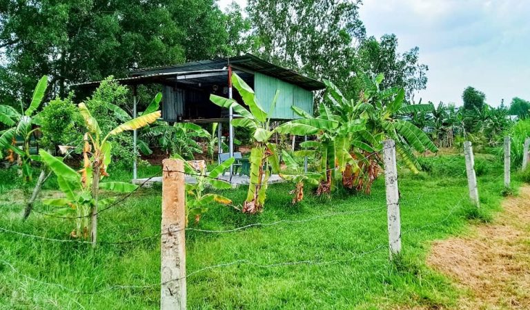 Vĩnh Thanh, 960m2 đất LUC QH full ONT đường Hùng Vương 1/ (VT26/341)